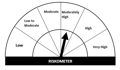 Risk-O-Meter